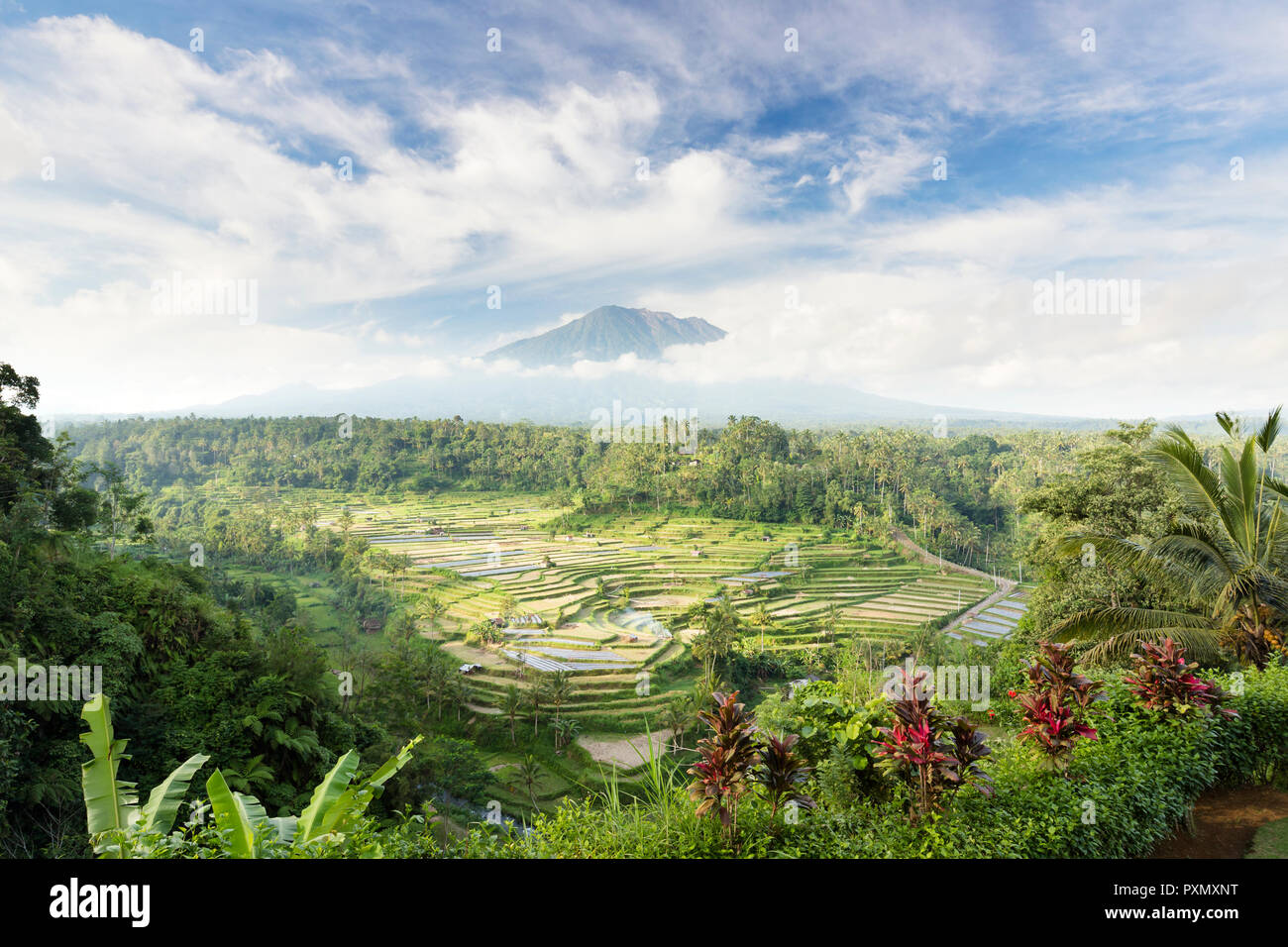 Blick auf Reisterrassen und Vulkan Gunung Agung, Rendang, Bali, Indonesien Stockfoto