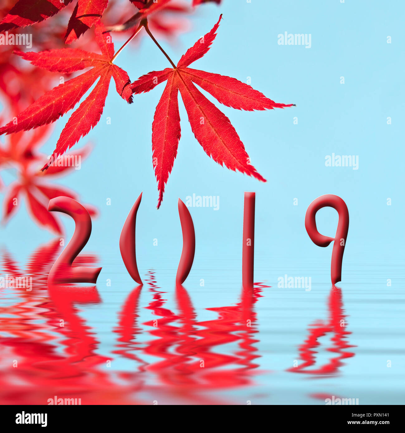 2019 roter Ahorn baum Blatt Grußkarte Stockfoto