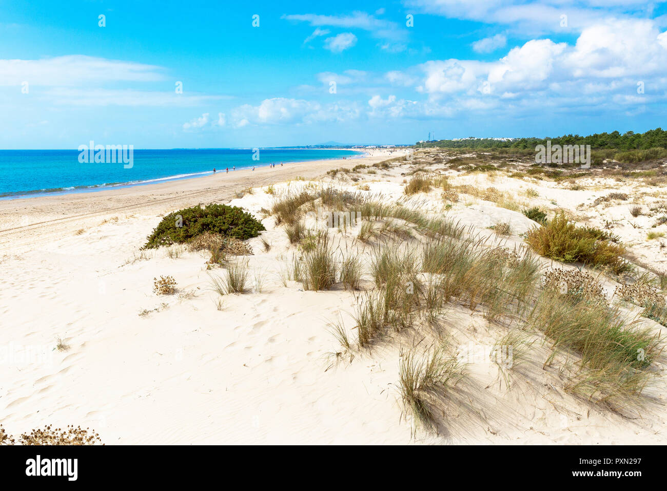 Strand von Monte Gordo, Algarve, Portugal Stockfoto