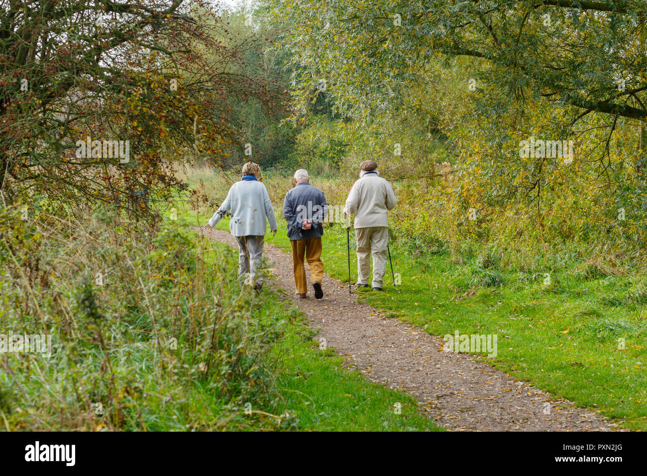 Drei Senioren spazieren durch Wald und genießen die morgendliche Herbstsonne. Leicestershire, Großbritannien Stockfoto