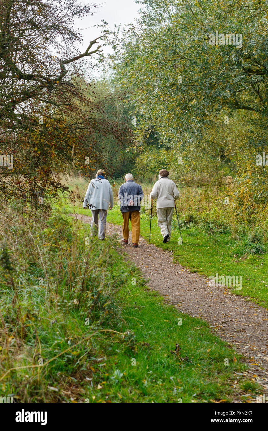 Drei Senioren spazieren durch Wald und genießen die morgendliche Herbstsonne. Leicestershire, Großbritannien Stockfoto