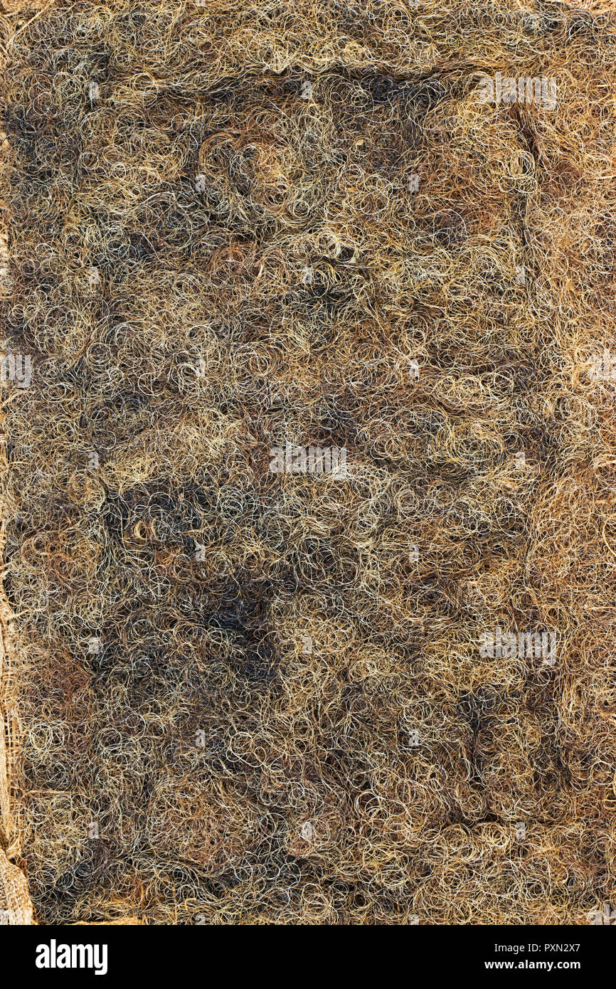 Retro Füllung Polstermöbel Horse Hair, behandelt mit Latex Stockfoto Retro Füllung Polstermöbel Horse Hair, behandelt mit Latex Stockfoto