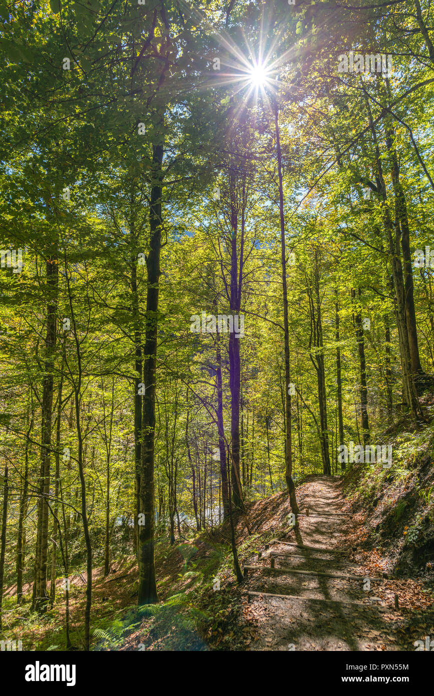 Partnachklamm, Schlucht Partnachklamm, Garmisch-Partenkirchen, Oberbayern, Bayern, Deutschland Stockfoto