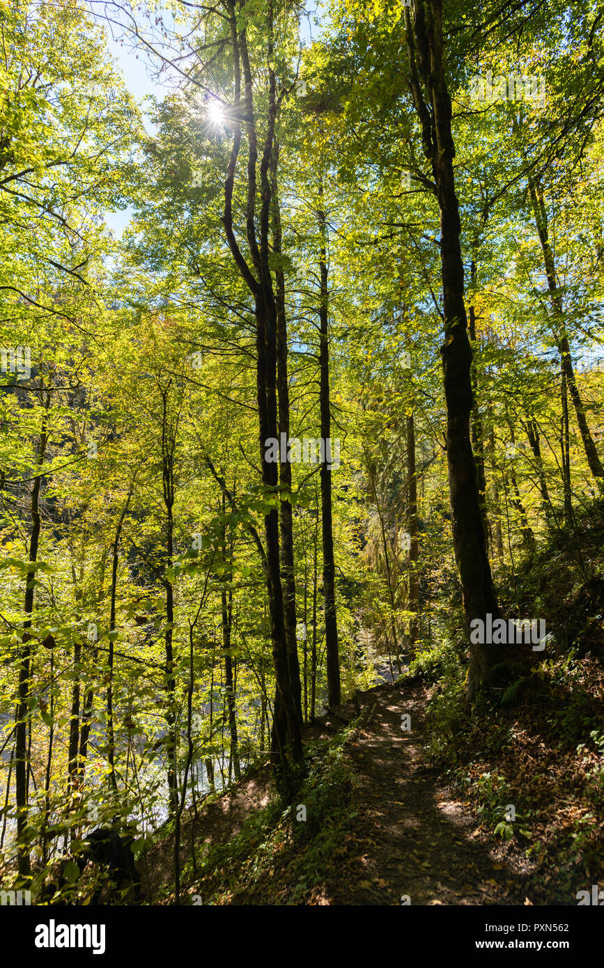 Partnachklamm, Schlucht Partnachklamm, Garmisch-Partenkirchen, Oberbayern, Bayern, Deutschland Stockfoto