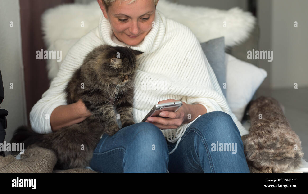 Reife Frau zu Hause sitzt auf dem Sessel und verwendet das Telefon, neben ihr ist eine Katze Stockfoto