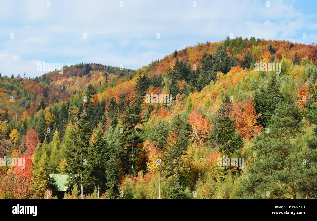 Erstaunlich bunten Herbst in den Bergen der Slowakei. Stockfoto