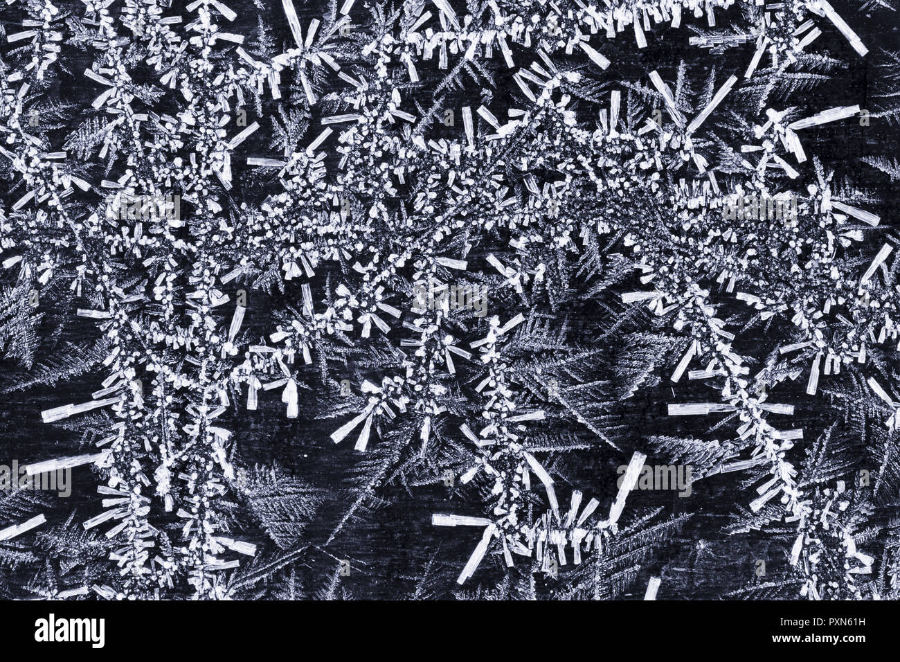 Mikroskopische detail von Raureif Kristalle, Winter Hintergrund Stockfoto
