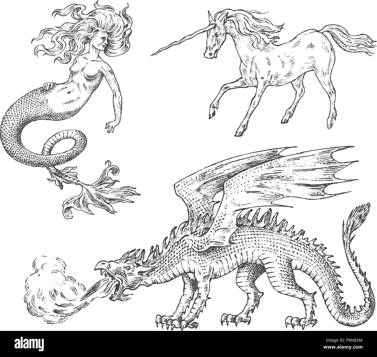 Der mythologische Tiere. Mermaid Einhorn chinesischer Drache Basilisk Frau. Griechische Kreaturen. Graviert hand Antike alte vintage Skizze gezeichnet. Stock Vektor Der mythologische Tiere. Mermaid Einhorn chinesischer Drache Basilisk Frau. Griechische Kreaturen. Graviert hand Antike alte vintage Skizze gezeichnet. Stock Vektor