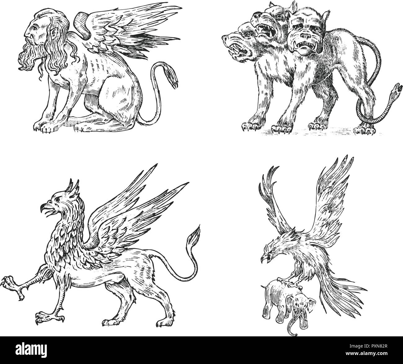 Der mythologische Tiere. Cerberus Sphinx Griffin mythischen Basilisken Vögel. Griechische Kreaturen. Graviert hand Antike alte vintage Skizze gezeichnet. Stock Vektor Der mythologische Tiere. Cerberus Sphinx Griffin mythischen Basilisken Vögel. Griechische Kreaturen. Graviert hand Antike alte vintage Skizze gezeichnet. Stock Vektor