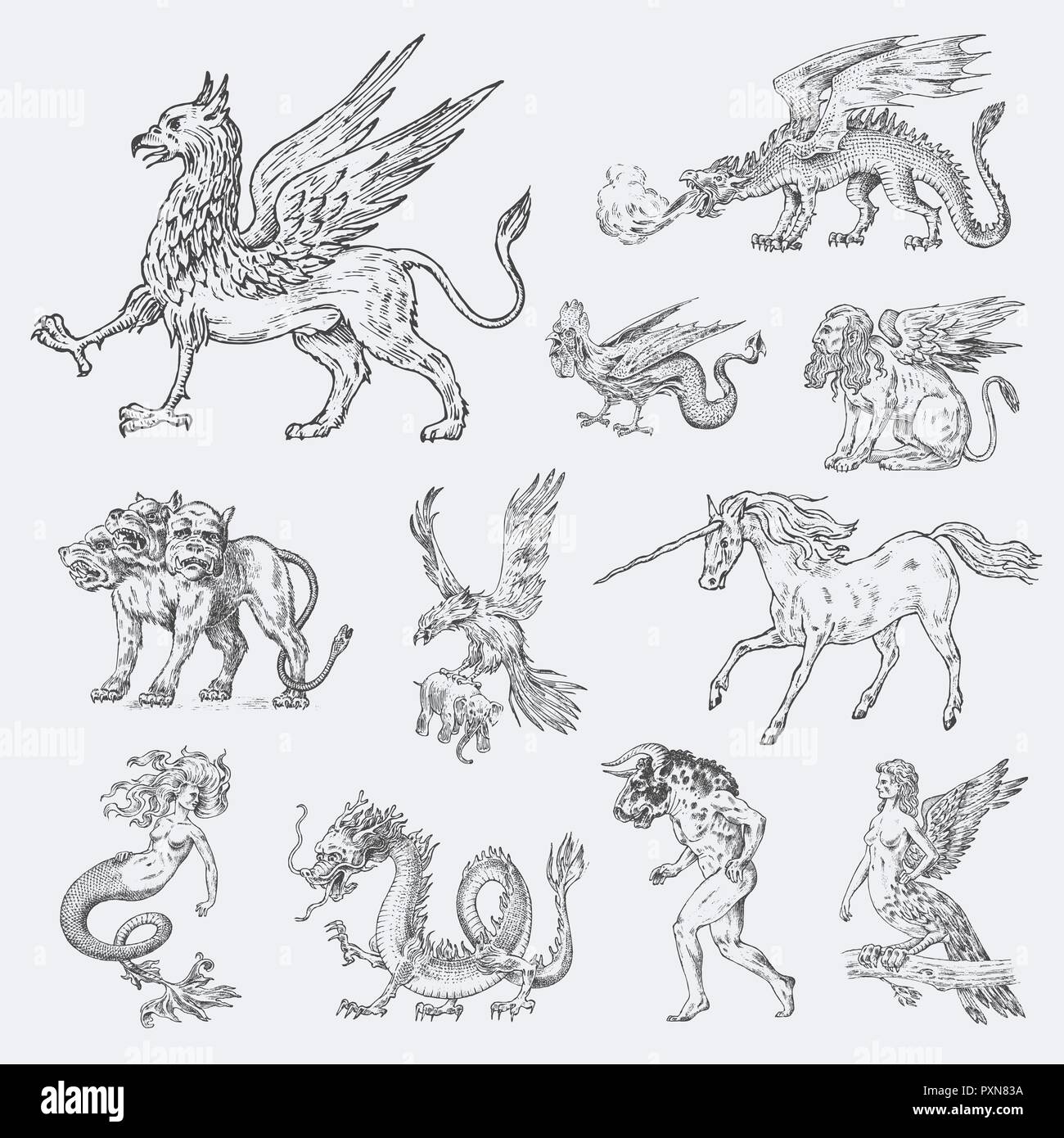 Der mythologische Tiere. Mermaid Minotaurus Einhorn chinesischer Drache Cerberus Harpy Sphinx Griffin mythischen Basilisken Roc Frau Vogel. Griechische Kreaturen. Graviert hand Antike alte vintage Skizze gezeichnet. Stock Vektor Der mythologische Tiere. Mermaid Minotaurus Einhorn chinesischer Drache Cerberus Harpy Sphinx Griffin mythischen Basilisken Roc Frau Vogel. Griechische Kreaturen. Graviert hand Antike alte vintage Skizze gezeichnet. Stock Vektor
