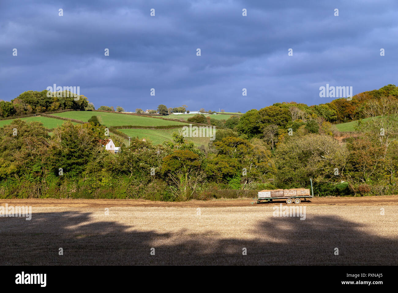 Teign Valley Devon, Landwirtschaft, Anbau, Bodenbearbeitung, Bodenbearbeitung, Tierhaltung, Land Management, Betriebsführung, Bauernhof, Landwirtschaft, Landwirtschaftliche Nutztiere, Bauernhof, Stockfoto