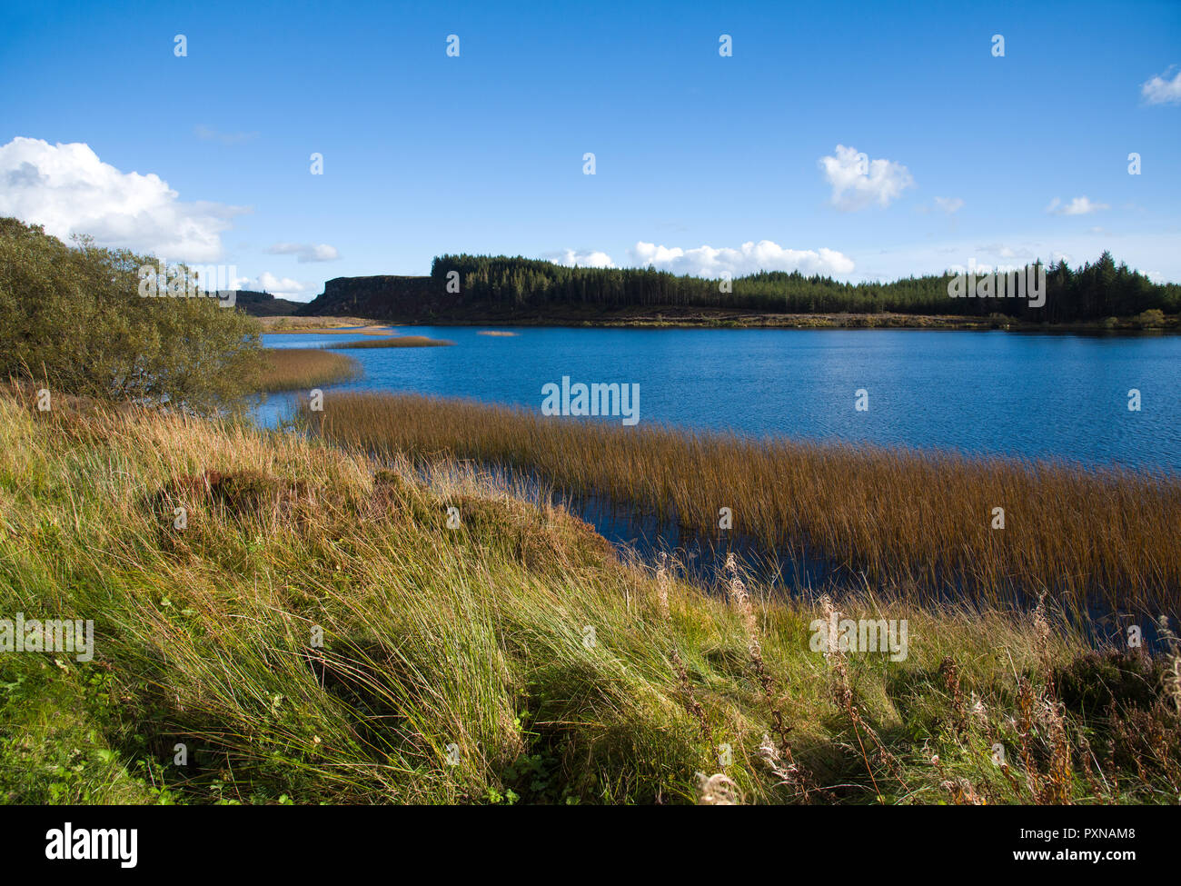 Malerischer Blick auf Meenameen See Lough Navar Forest in Co Fermanagh, Nordirland Stockfoto