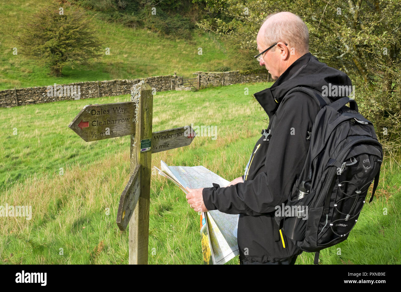Mann Person Wanderer Blick auf eine Karte auf dem Dales Way Wanderweg Weg Spaziergang im Spätsommer in der Nähe von Windermere Cumbria England Großbritannien Großbritannien Stockfoto