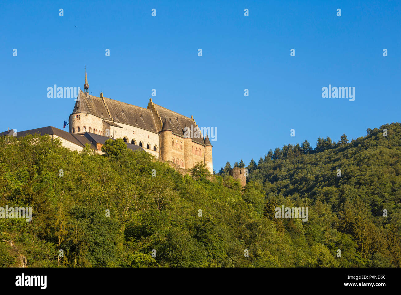 Luxemburg, Vianden, Schloss Vianden Stockfoto