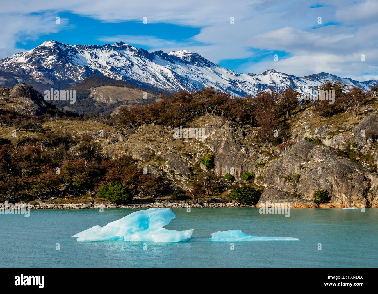 Eisberg auf den Lago Argentino, Nationalpark Los Glaciares, Provinz Santa Cruz, Patagonien, Argentinien Stockfoto