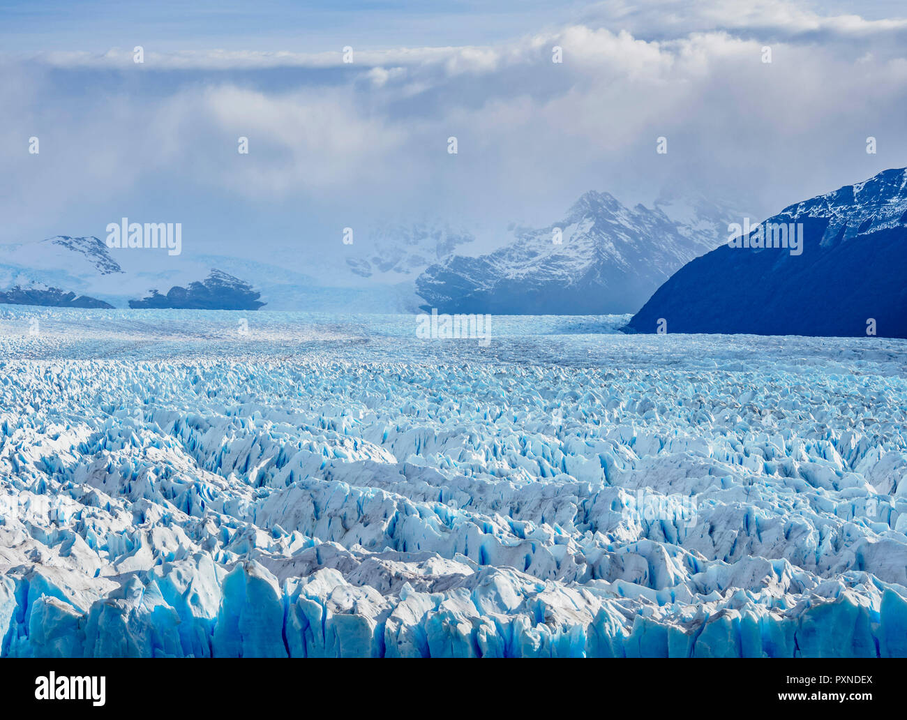 Der Gletscher Perito Moreno, Erhöhte Ansicht, Nationalpark Los Glaciares, Provinz Santa Cruz, Patagonien, Argentinien Stockfoto