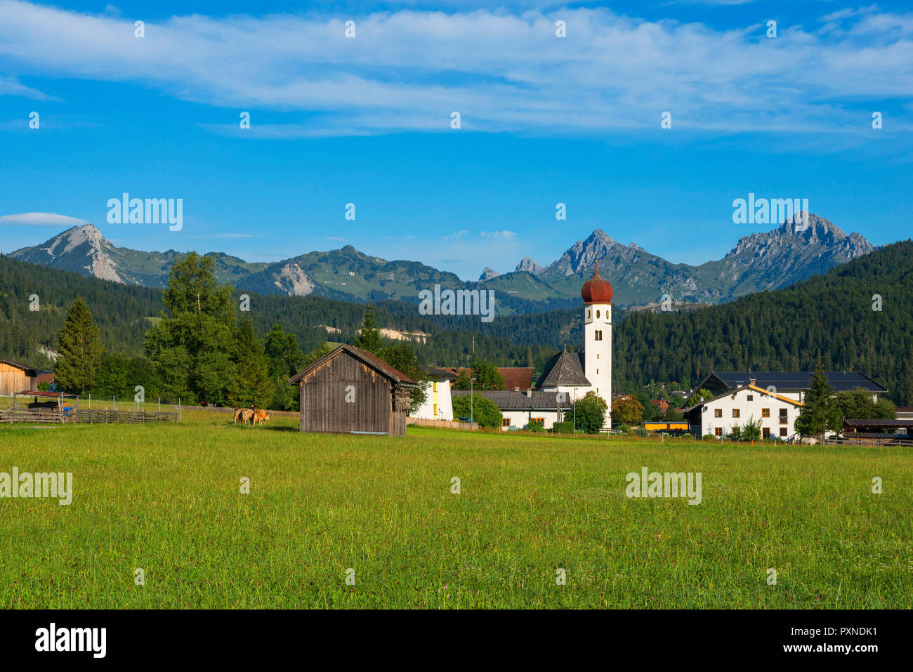 Heiterwang mit Tannheimer Berge, Tirol, Österreich Stockfoto
