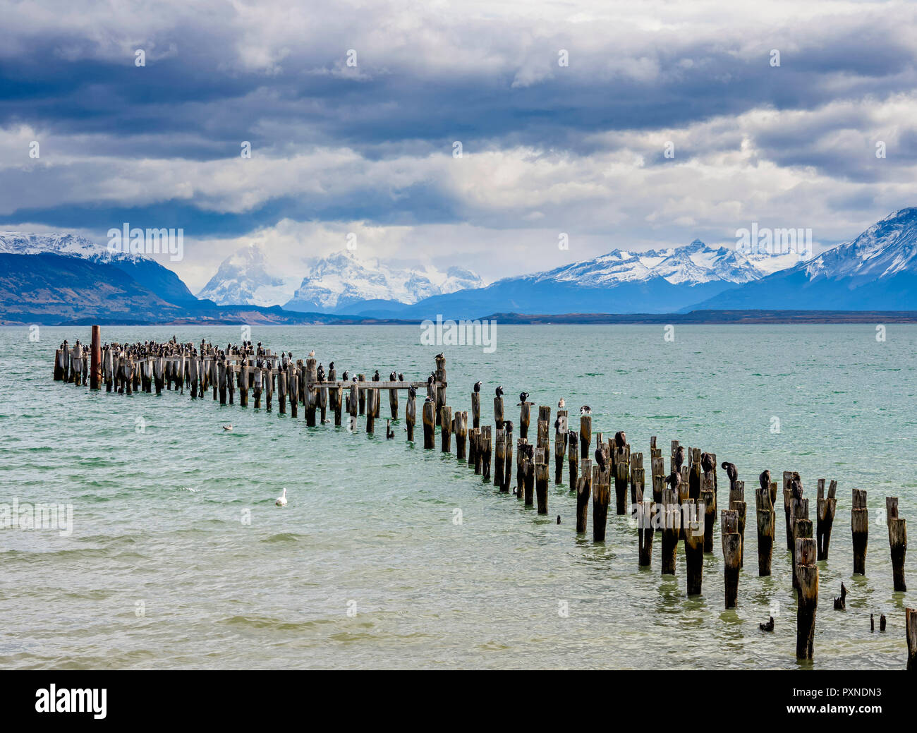 Gaffos Pier, Admiral Montt Golf, Puerto Natales, Ultima Esperanza Provinz Patagonien, Chile Stockfoto