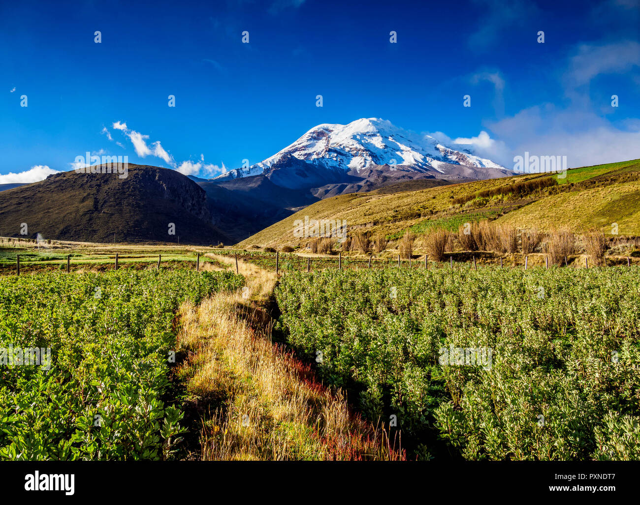 Vulkan Chimborazo, Provinz Chimborazo, Ecuador Stockfoto
