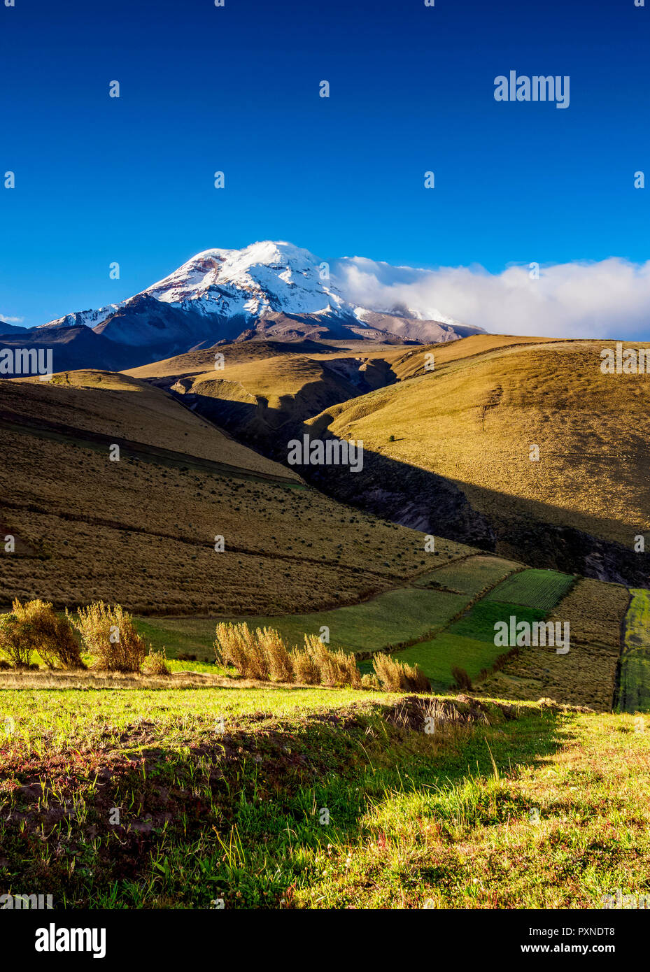 Vulkan Chimborazo, Provinz Chimborazo, Ecuador Stockfoto