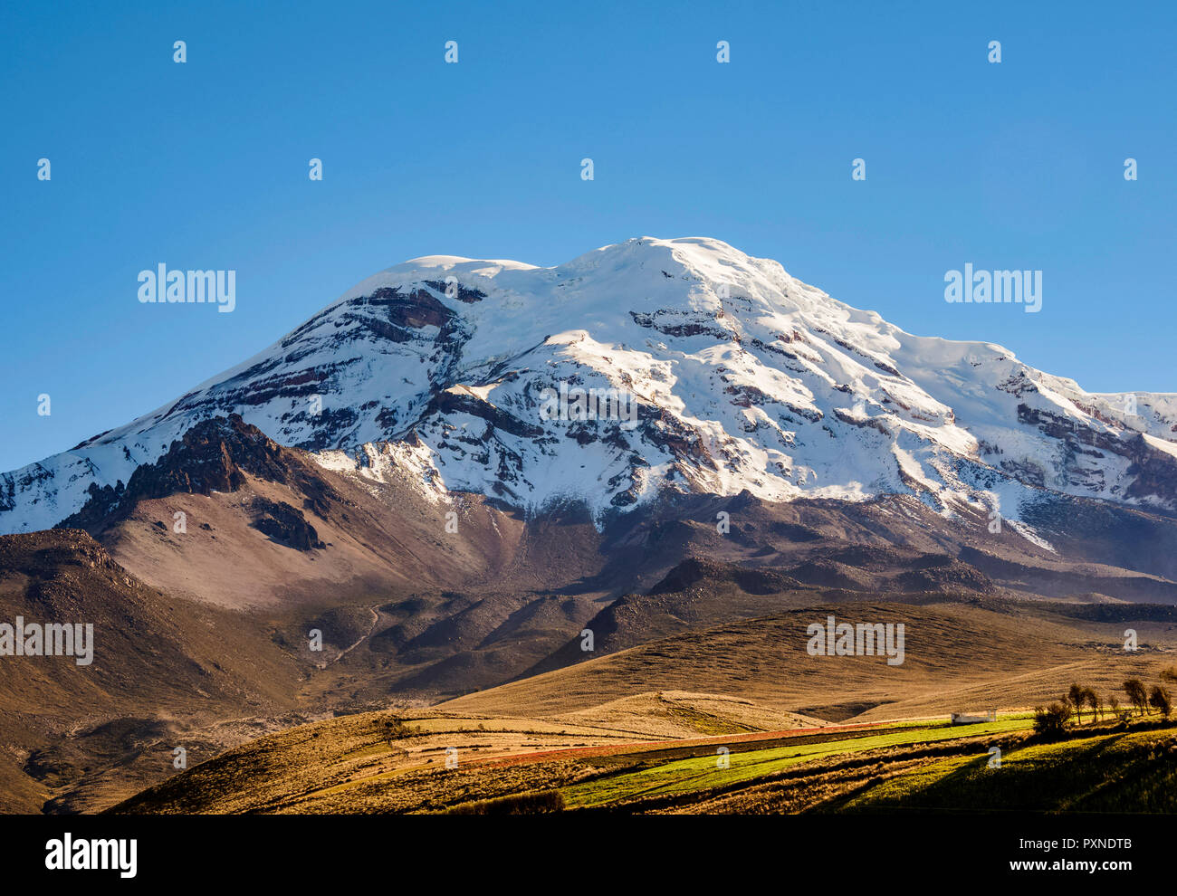 Vulkan Chimborazo, Provinz Chimborazo, Ecuador Stockfoto