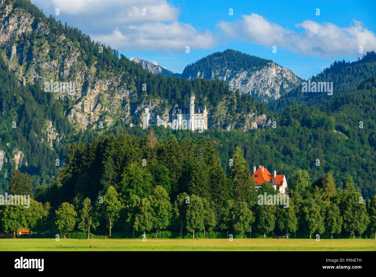 Blick auf das Schloss Neuschwanstein, Schwangau, Bayern, Deutschland Stockfoto