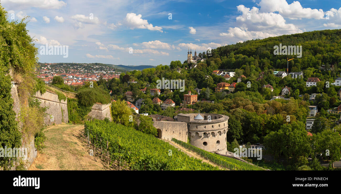 Mauern der Festung Marienberg und Weinbergen, Würzburg, Bayern, Deutschland Stockfoto
