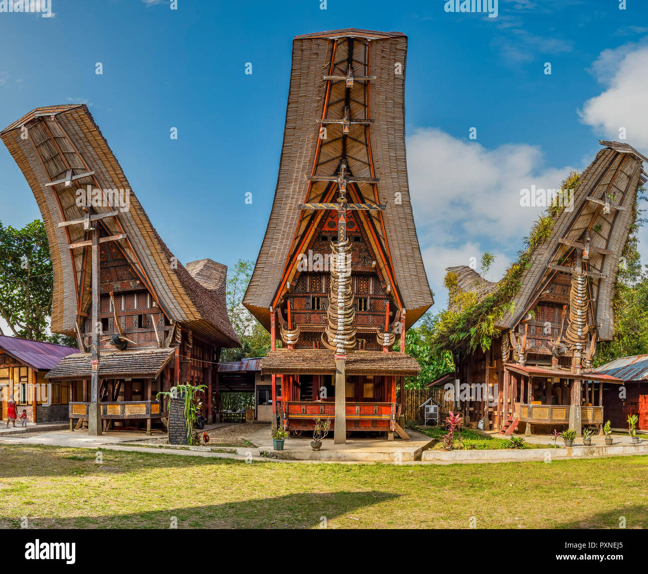 Typische Tongkonan Häuser, Rantepao, Tana Toraja, Sulawesi, Indonesien Stockfoto