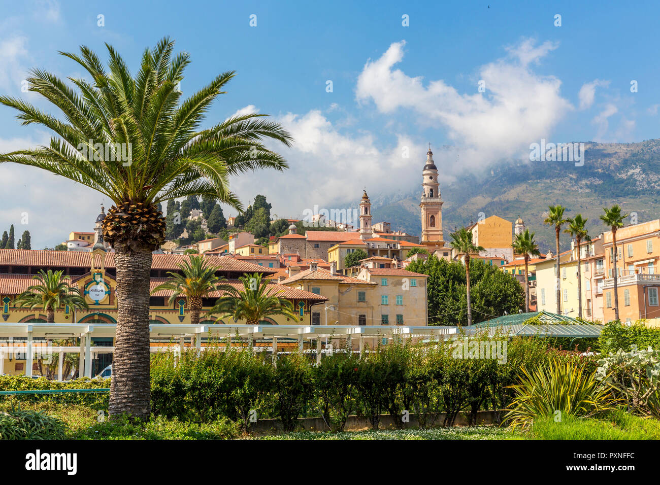 Blick auf die Altstadt mit der Kathedrale Saint-Michel, Menton, Côte d'Azur, Französische Riviera, Frankreich Stockfoto