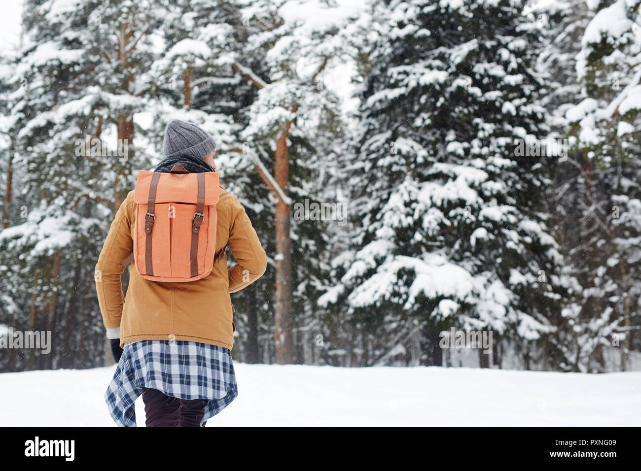 Ansicht der Rückseite des Hipster junge Wanderer mit Rucksack auf der Suche um und gehen bergauf, während allein im Winter Wald Stockfoto