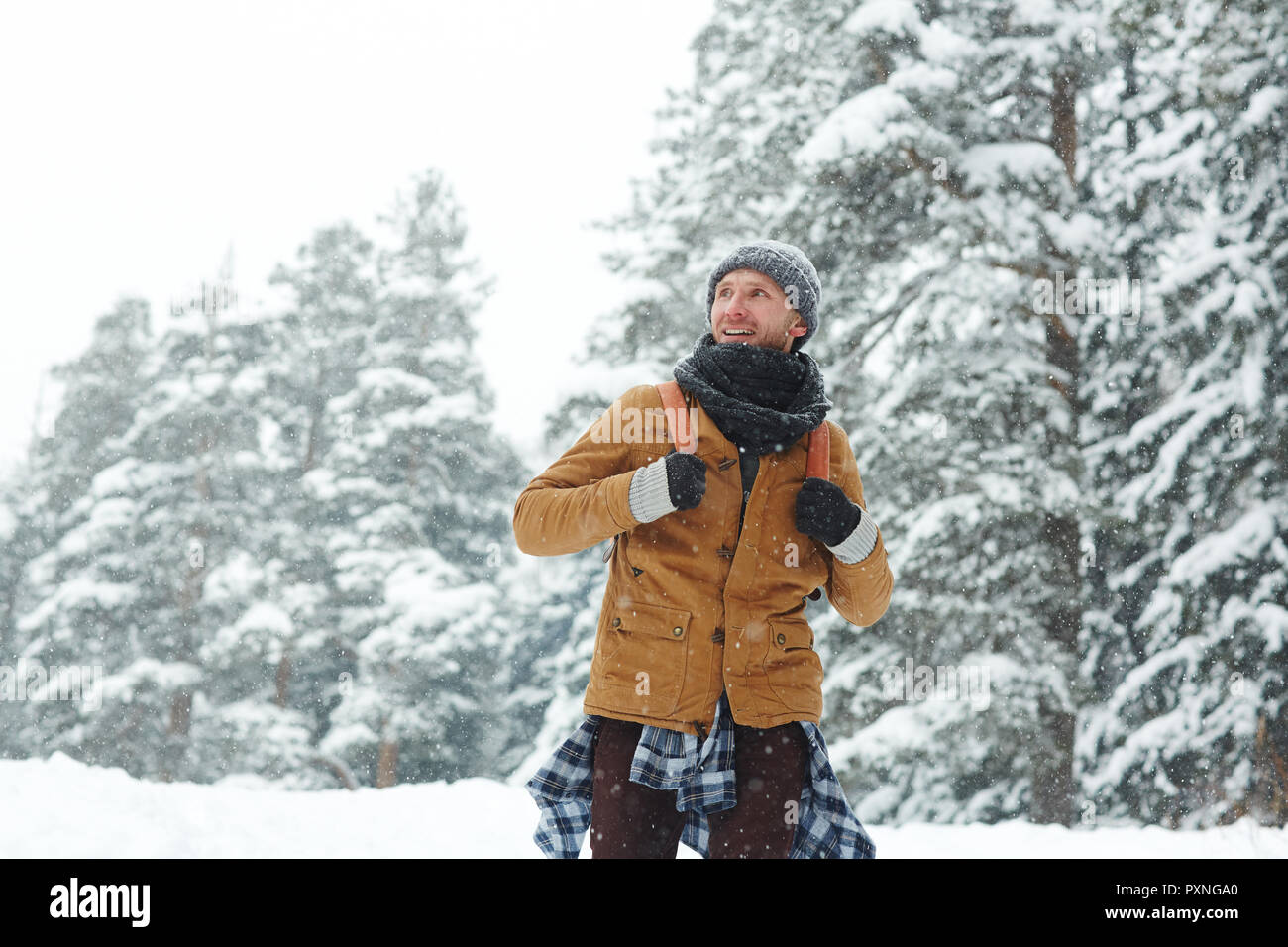 Inhalt begeistert Junge männliche Wanderer mit Rucksack, Hut und Schal genießen Winter Reisen und Wandern im Wald Stockfoto