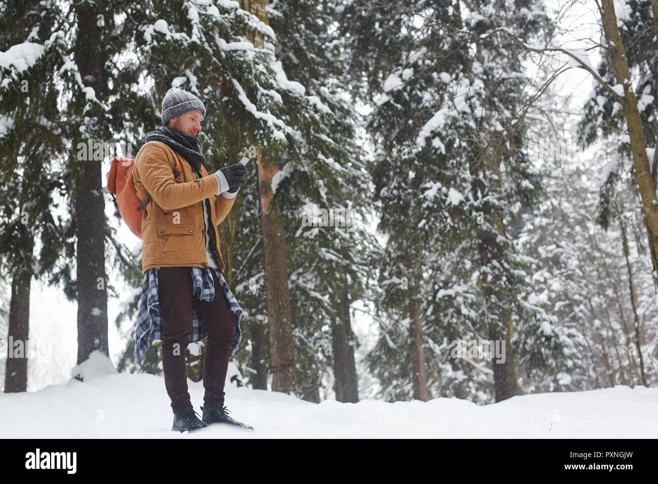 Ernsthafte junge männliche Wanderer in warmen Mantel im Winter Forest und mit Gadget zu finden, Trail über GPS-Navigation Stockfoto