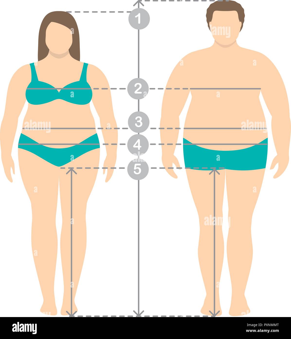 Abbildung: übergewichtige Männer und Frauen in voller Länge mit Messung der Körper Parameter. Mann und Frauen Kleidung Übergrößen Messungen. Huma Stock Vektor