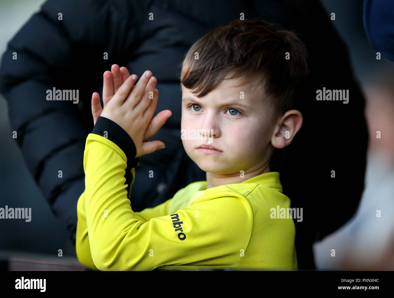 Ein junger Fan auf der Tribüne Stockfoto