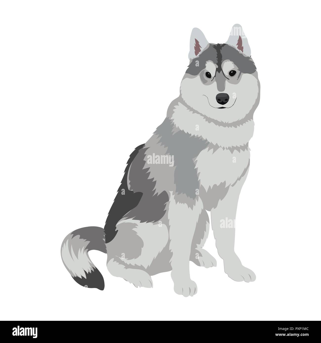 Husky dog sitting auf weißem Hintergrund. Sled Dog Abbildung. Alaskan Malamute Hund für ihr Design niedlich. Stock Vektor