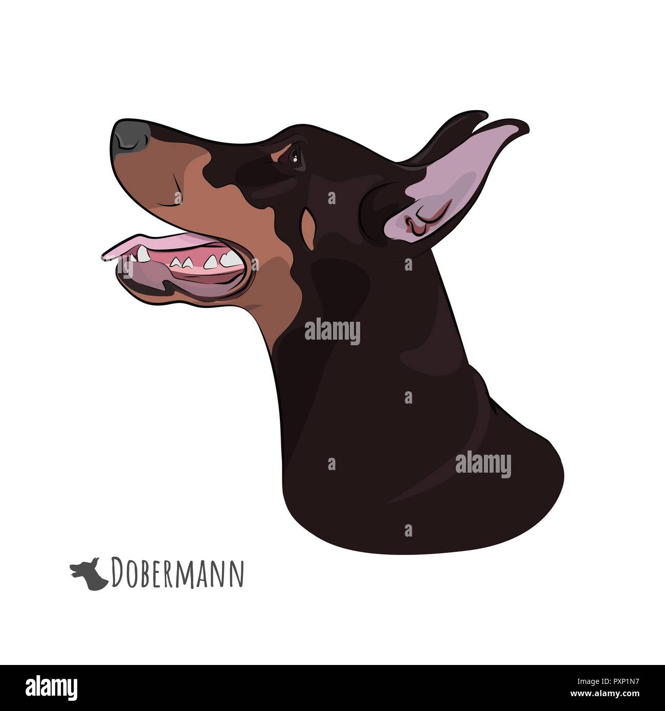 Dobermann Kopf auf weißem Hintergrund. Dobermann keuchend Mit herausgestreckter Zunge. Watchdog Profil für Ihr Design. Stock Vektor