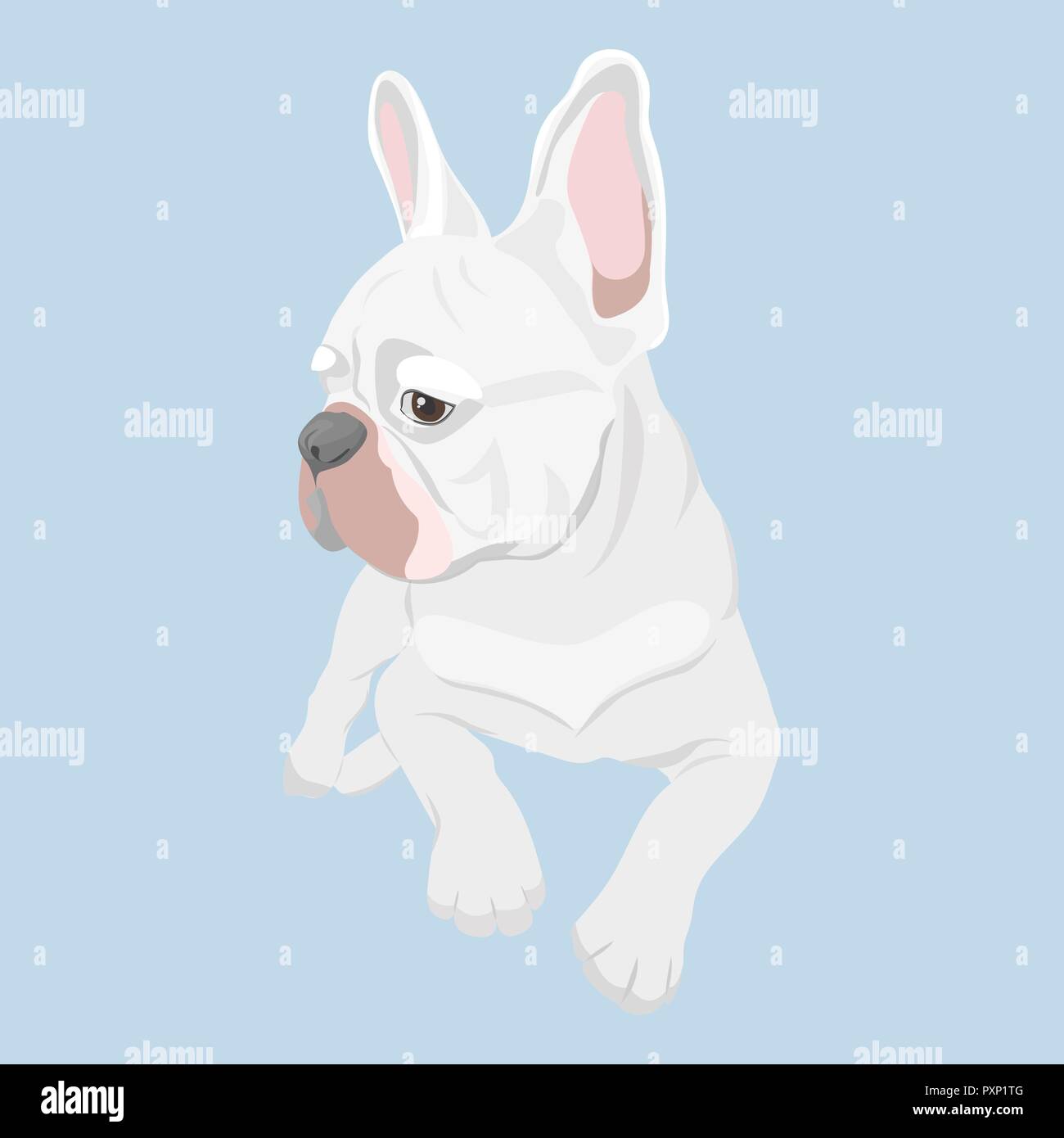 Französische Bulldogge liegen und seitwärts. Canine für PET-Produkte design reinrassig. Weiße französische Bulldogge liegen auf Baby blau Hintergrund isoliert. Stock Vektor