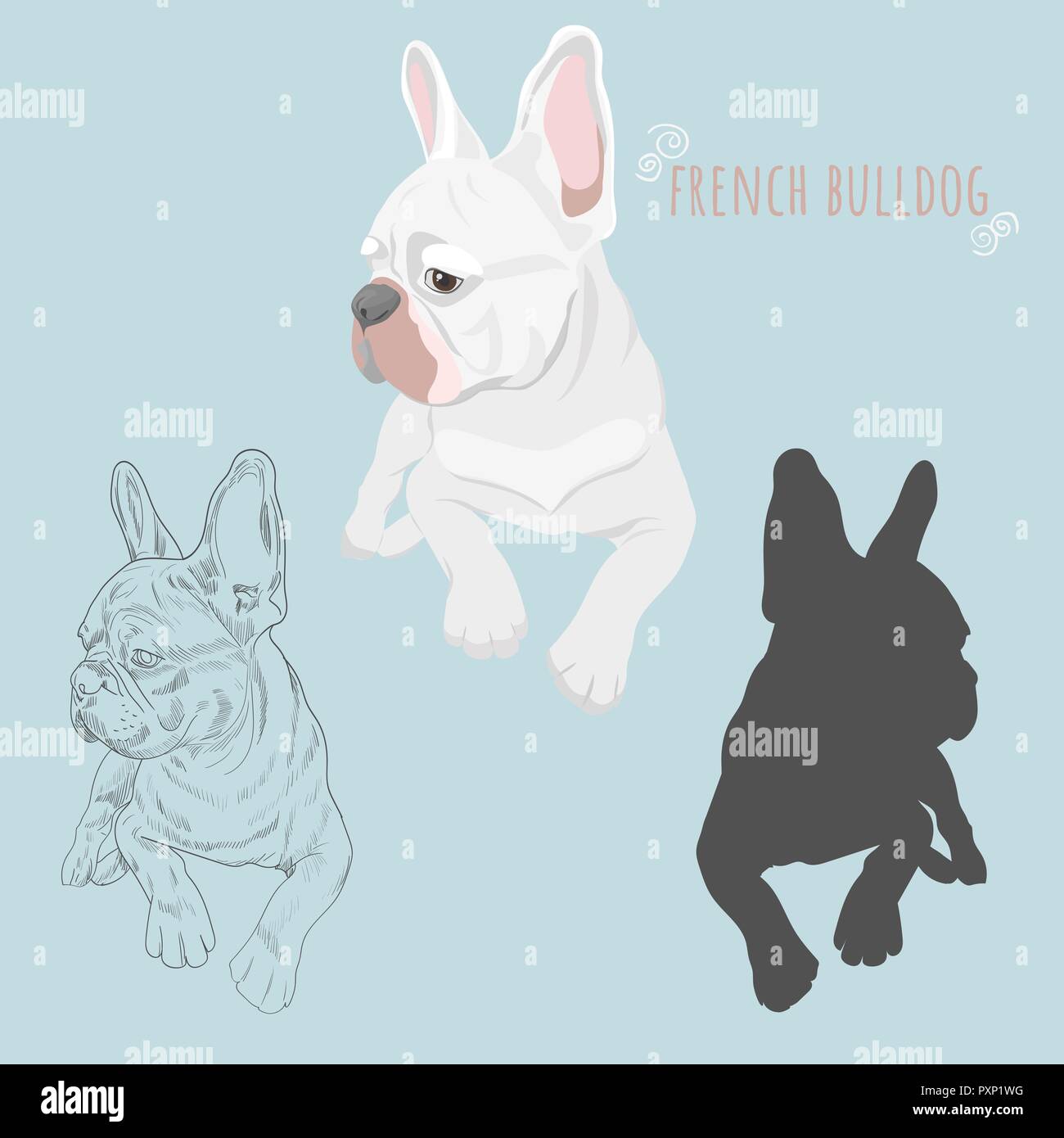 Hund Silhouette und Hand gezeichnete Skizze von reinrassigen Hunden. Weiße französische Bulldogge liegen auf Baby blau Hintergrund isoliert. Stock Vektor