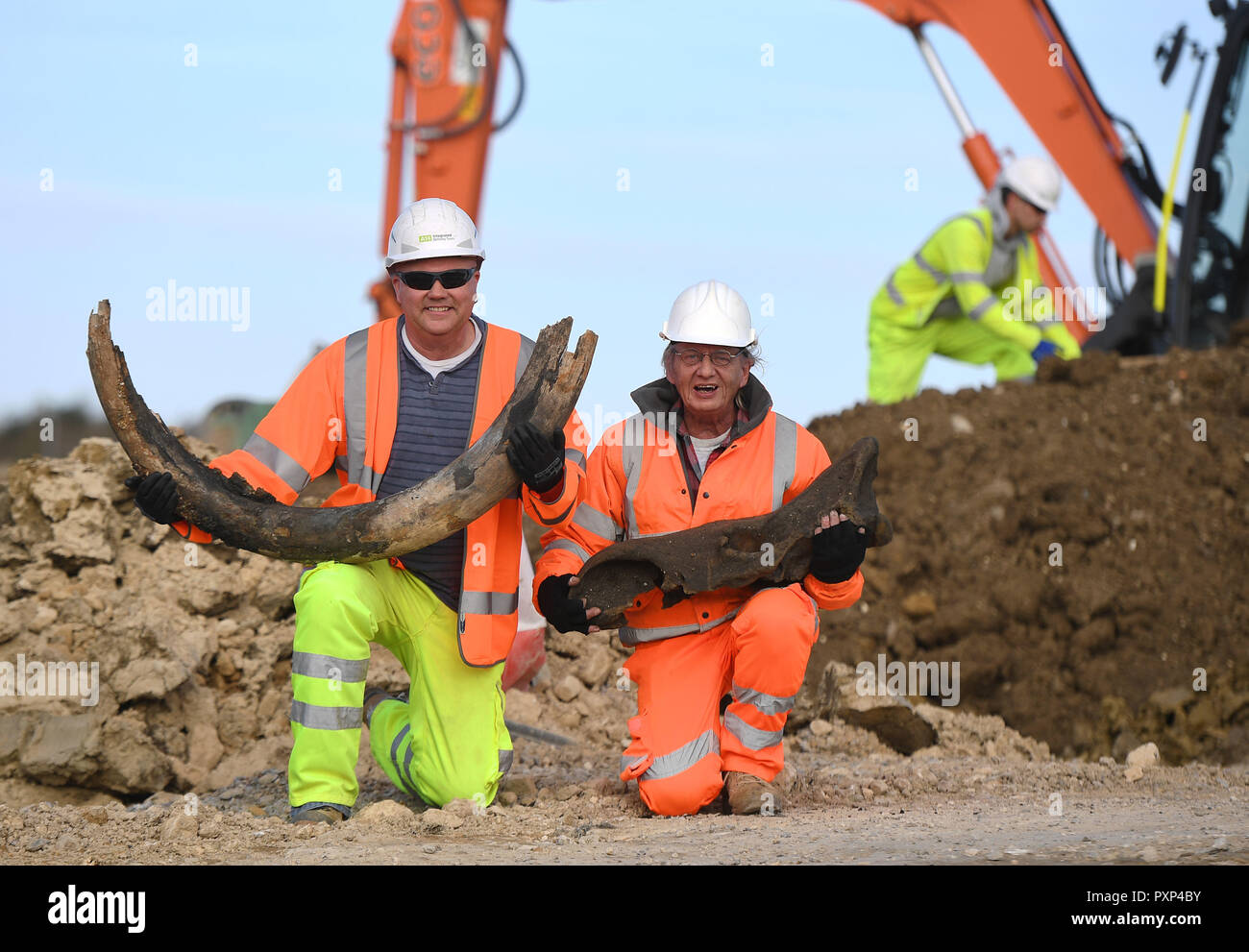 Bagger Maschinenbediener Darren Hickman (links) und MOLA Landspitze Archäologe Bill Boismier halten Sie den stosszahn eines Mammuts und der Schädel eines Rhino, geglaubt, um 130.000 Jahre alt sein, der während der Arbeiten an der A14 Verbesserung Regelung zwischen Cambridge und Huntingdon gefunden wurden. Stockfoto