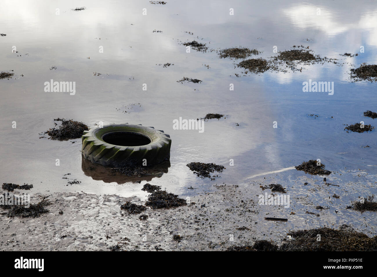 Traktor Reifen gewaschen oben am Ufer. Die Verschmutzung der Bucht im Meer. Stockfoto