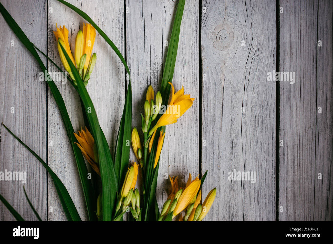 Blumenstrauß aus gelben Lilien auf einer hölzernen Hintergrund, wedding bouquet Stockfoto