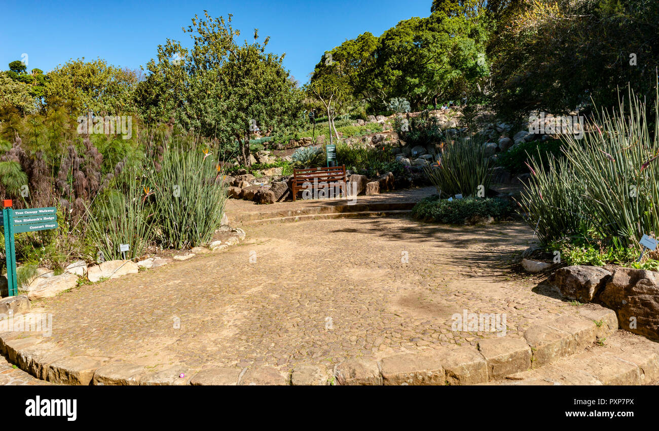 Der Botanische Garten von Kirstenbosch, in Newlands, Kapstadt, Südafrika Stockfoto