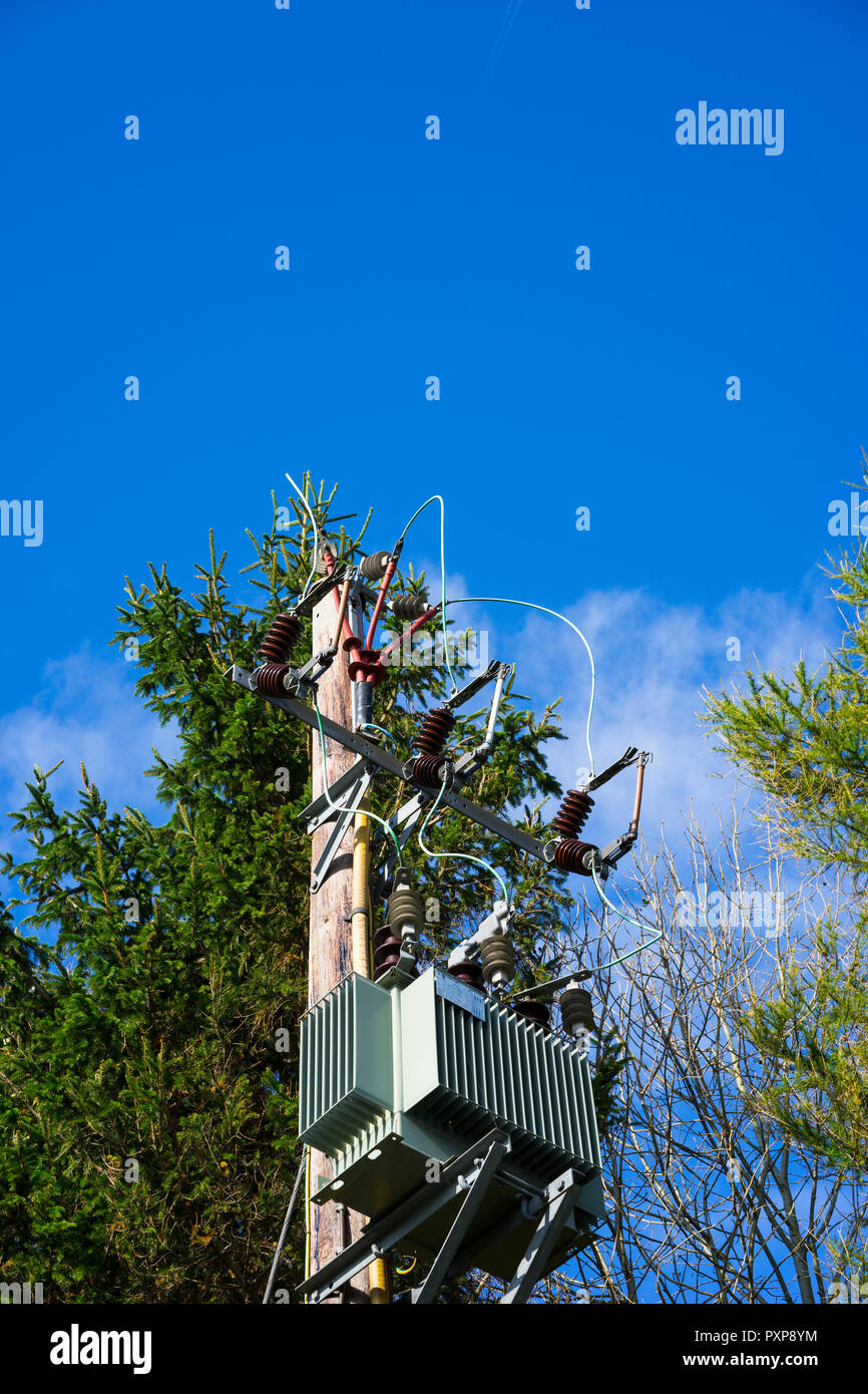 Stromversorgung zu einem telegraphenmast mit Transformator, England, UK verbunden. Stockfoto