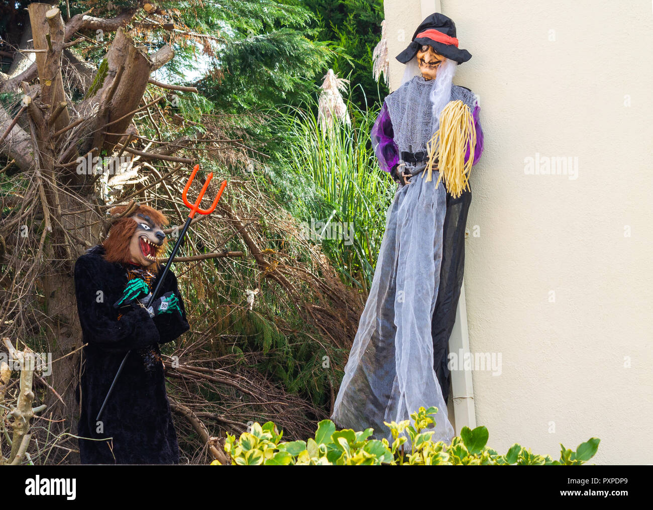 Halloween Hexen oder Hexe Vogelscheuche oder Hexe Vogelscheuchen Stockfoto