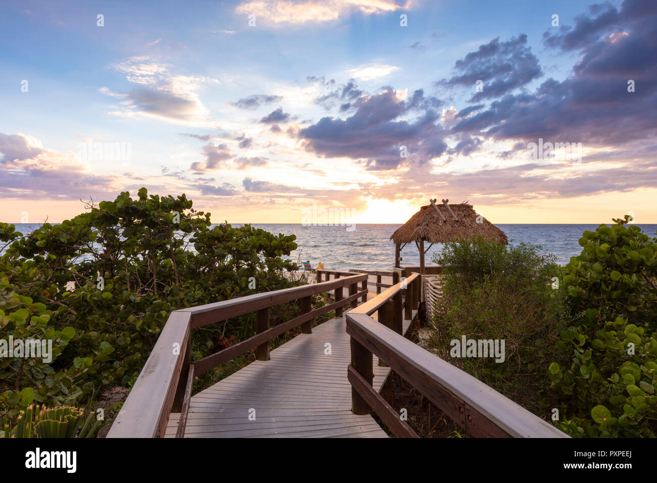 Boardwalk zu Barefoot Beach, Naples, Florida, USA Stockfoto