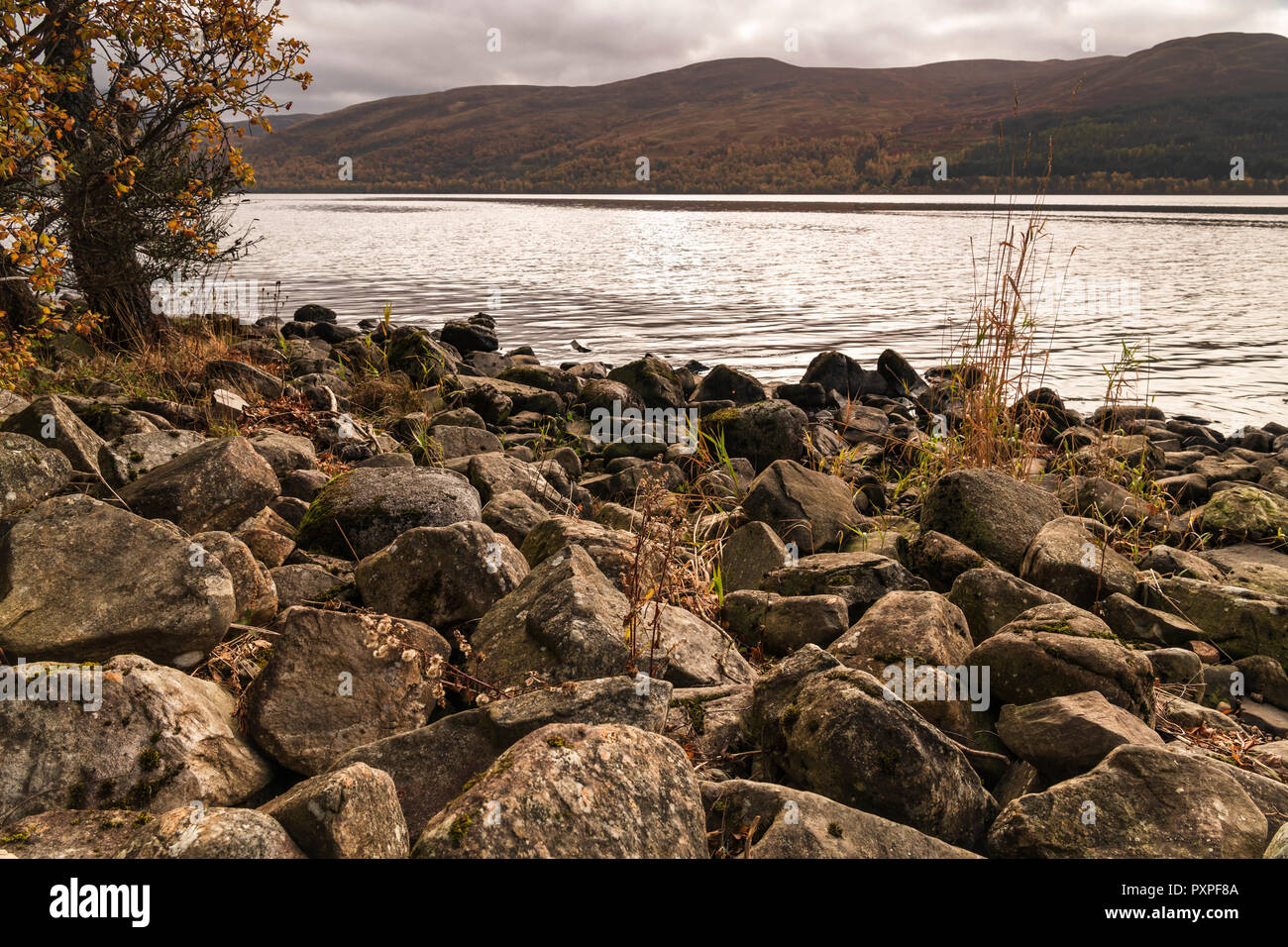 Ein herbstliches Bild von Felsen am Ufer des Loch Rannoch in den schottischen Highlands. 18. Oktober 2018 Stockfoto