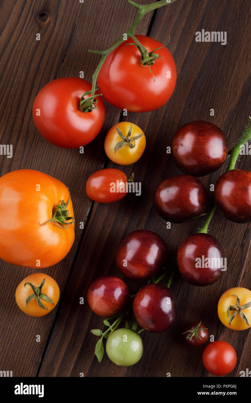 Organische Hausgewachsene heirloom Tomaten in verschiedenen Größen und Farben. Von violett Indigo Rose, rote und gelbe Kirschtomaten. Künstlerische noch Leben auf Stockfoto