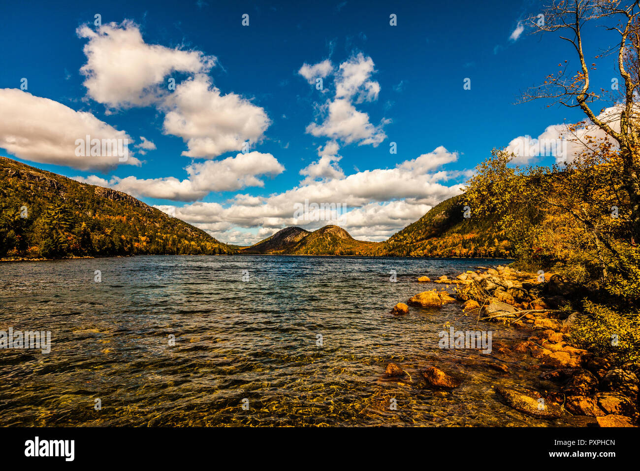 Jordan Teich Acadia National Park Mount Desert Island, Maine, USA Stockfoto