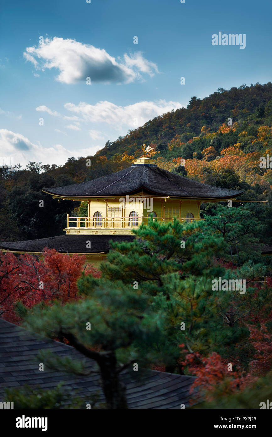 Lizenz verfügbar unter MaximImages.com - Kinkaku-ji, glänzendes Dach des Goldenen Pavillons in einer wunderschönen herbstlichen Naturlandschaft. Rokuon-ji, buddhistischer Zen-Tempel Stockfoto