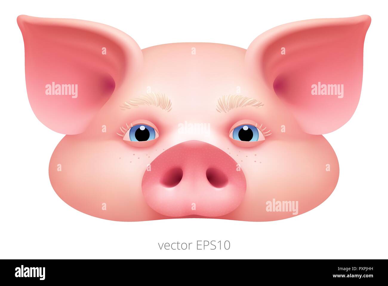 Karneval halbmaske von einem Schwein. Funny Face von Piggy ohne Mund und Kinn zu feiern das neue Jahr 2019. Realistische vektor design. Hohe Qualität. Stock Vektor